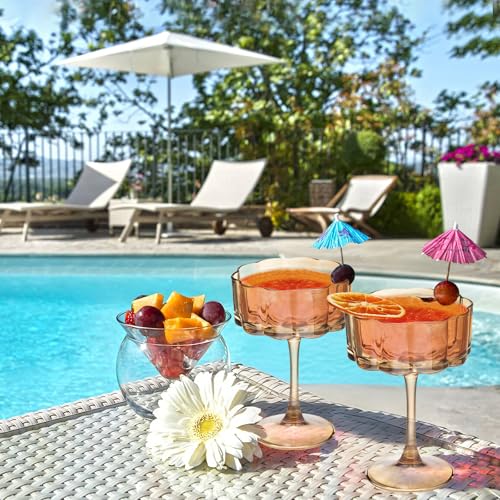 Vintage Champagne Coupes Glass Cute Martini Cocktail Glasses (24 Count)