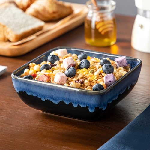 Stern Square Stoneware Dinnerware Set for 4 (Blue / Service for 4 (12 Pcs))