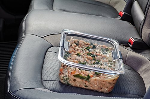 Brilliance Large Food Storage Container (9.6 cup)