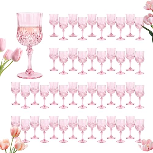 48Pack Plastic Wine Glasses (48 Count)