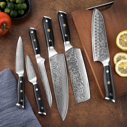 SENKEN 6 Piece Damascus Steel Kitchen Knife Set (6 Count)