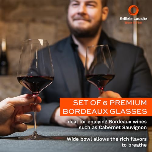 Bordeaux Red Wine Glasses Set of 6 (6 Count)