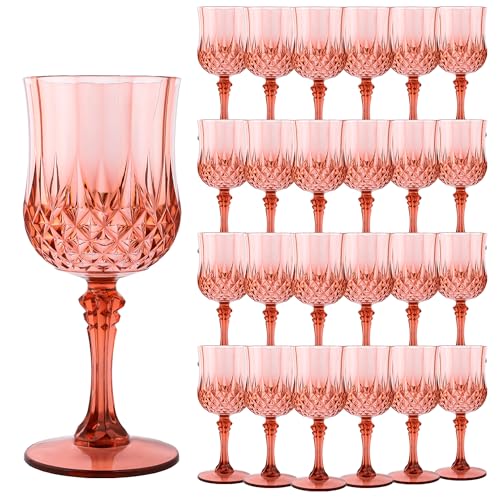 24Pack Plastic Wine Glasses (24 Count)