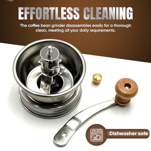 Stainless Steel Coffee Grinder Lid Attachment for Regular Mouth Mason Jars (Regular)