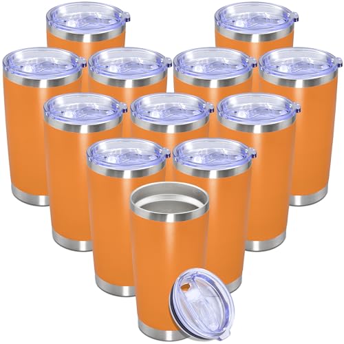 20 oz Tumbler Insulated Tumblers Stainless Steel Coffee Mug (Orange)