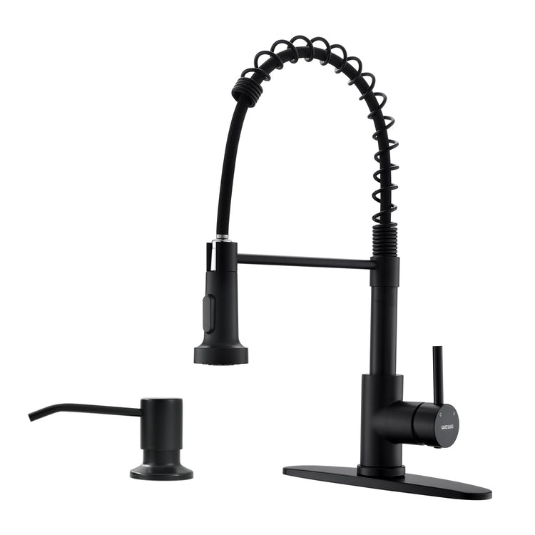 Kitchen Faucet with Soap Dispenser