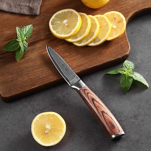 EDIB Damascus Chef Knife Set