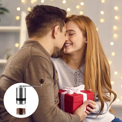 Manual Coffee Grinder Stainless Steel Burr Grinder 6 External Adjustable Setting Vintage Hand Coffee Grinder Portable Hand Crank Conical Coffee Bean Grinder Mill for Home (Silver)