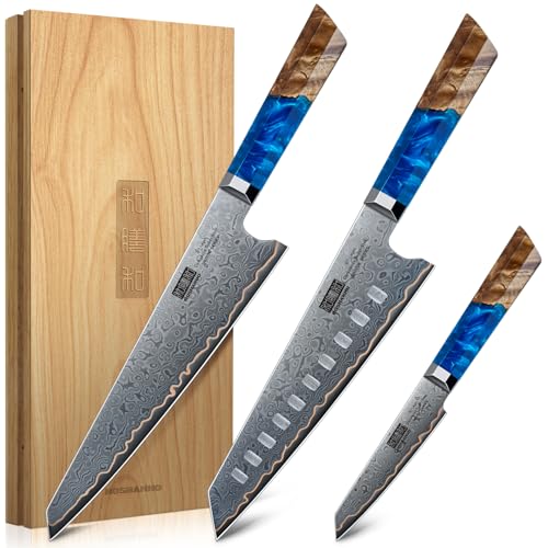 Damascus 3PCS Knife Set (3 Count)