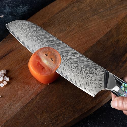 SENKEN Damascus Steel Kitchen Knife Set (5 Count)