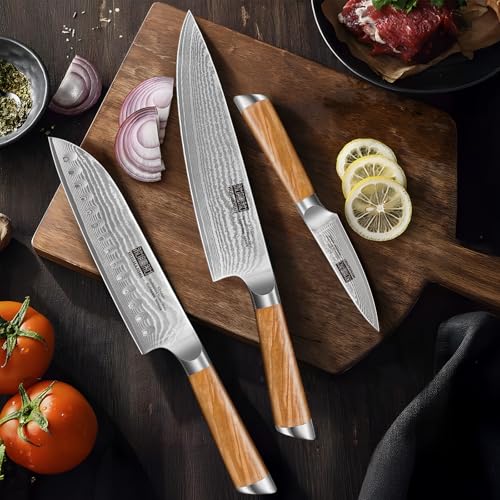 Damascus Kitchen Knife Set 3PCS (3 Count)
