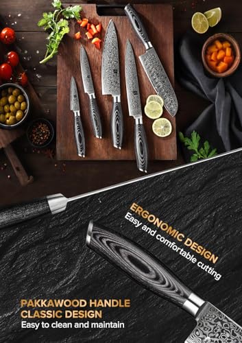 5 Piece Kitchen Knife
