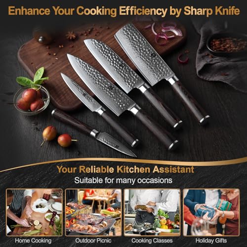 Kitchen Cutting Knife Set of 5 Piece