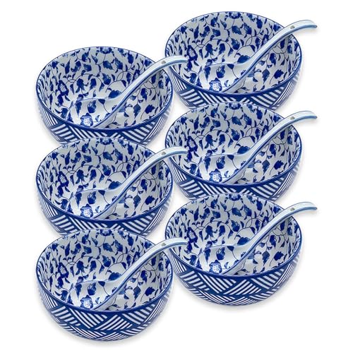28Oz Ceramic Soup Ramen Bowl Set of 6 with Spoon Gift Box (6in-Floral & Striped-6)