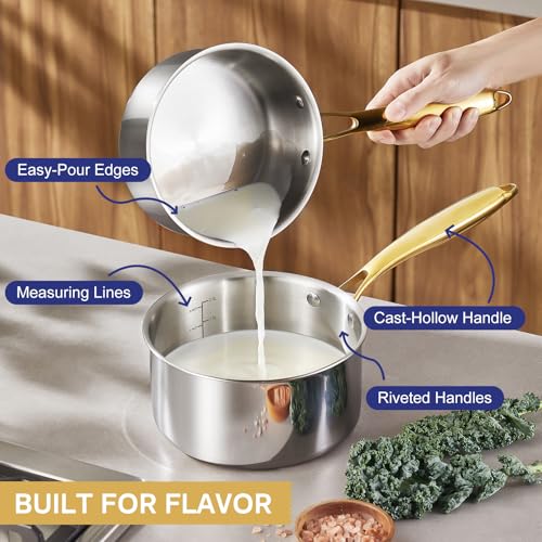 Triple Ply Stainless Steel Pots and Pans Set