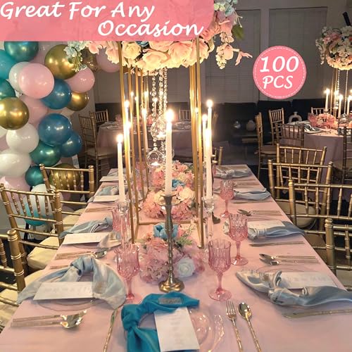 100Pack Plastic Wine Glasses (100 Count)