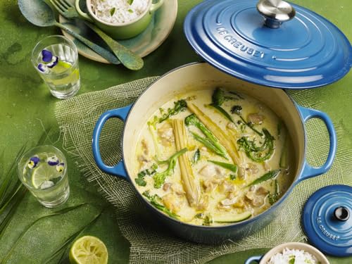 Enameled Cast Iron Round Dutch Oven