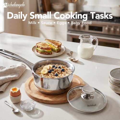 1 Quart Stainless Steel Saucepan with Lid