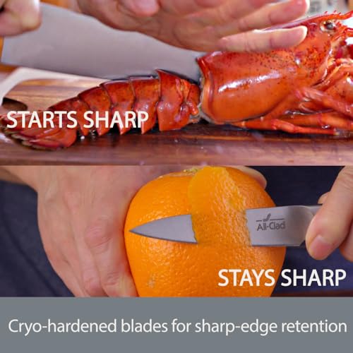 Forged German Stainless Steel Chef's Knife