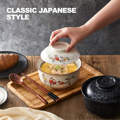 25oz Ramen Bowls Set of 4 Japanese Dinnerware Set with Lid (Mixed)