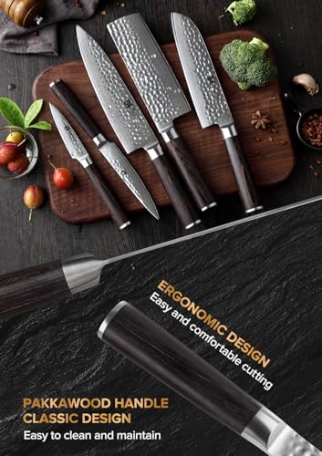 Kitchen Cutting Knife Set of 5 Piece