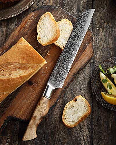Damascus Kitchen Knives Set