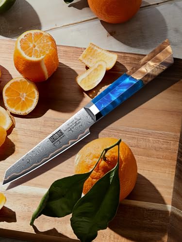 4" Damascus Paring Knife