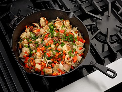 Pre Seasoned Cast Iron Skillet (12-Inch (1-Pack) / Black)