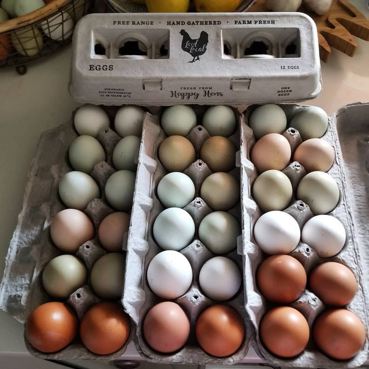 90 Egg Cartons (90 Count)