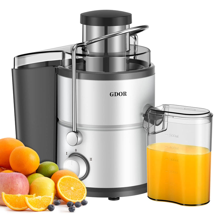 800W Juicer Machine