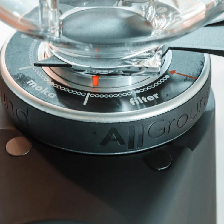 All Ground Burr Grinder