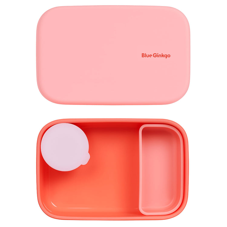 Bento Style Silicone Lunch Box Set