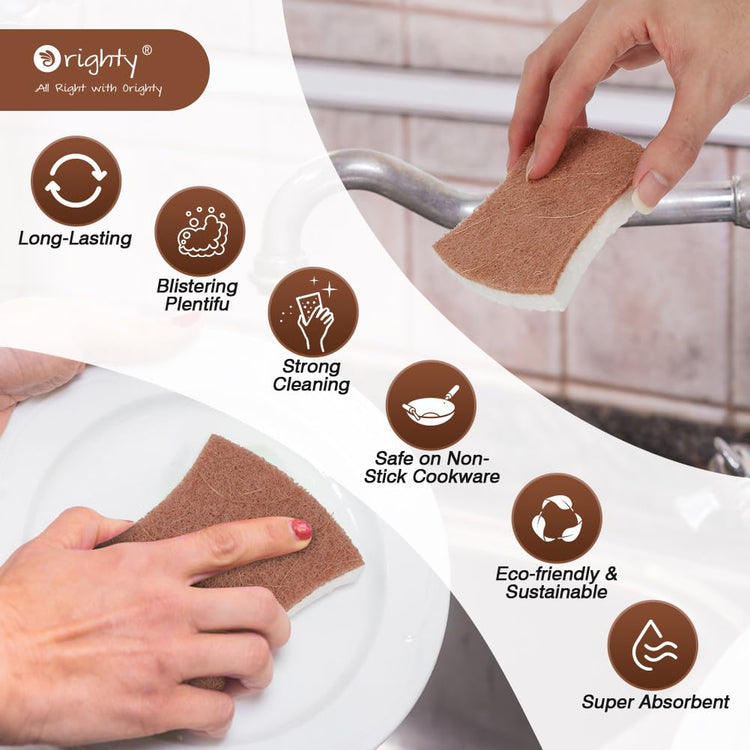 Non Scratch Scrub Sponge (24 Count)