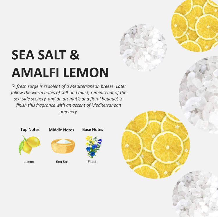Fruits & Passion Cucina Dish Soap Detergent Refill Sea Salt and Amalfi Lemon (16.9 Fl Oz)