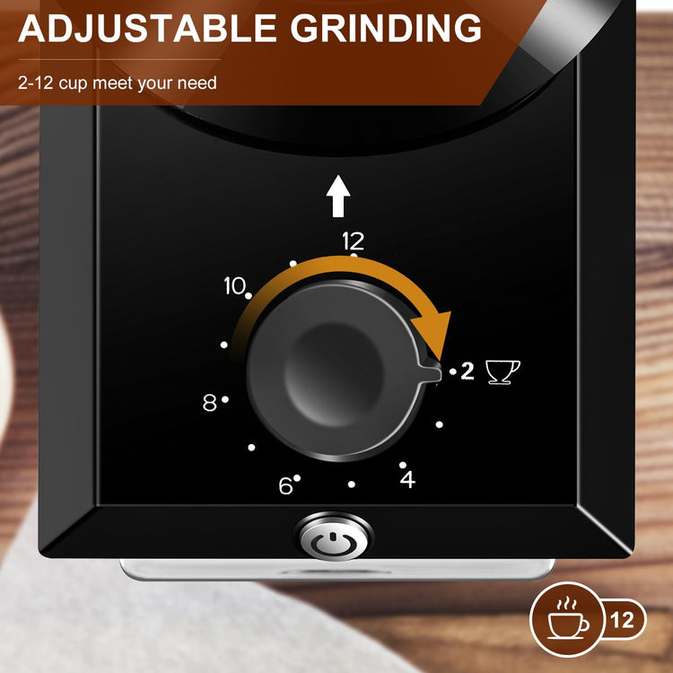 Electric Burr Coffee Grinder