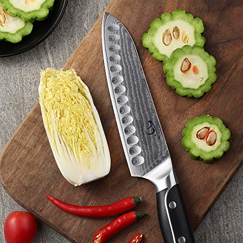 18 Pieces Damascus Kitchen Knife Set (18 Count)