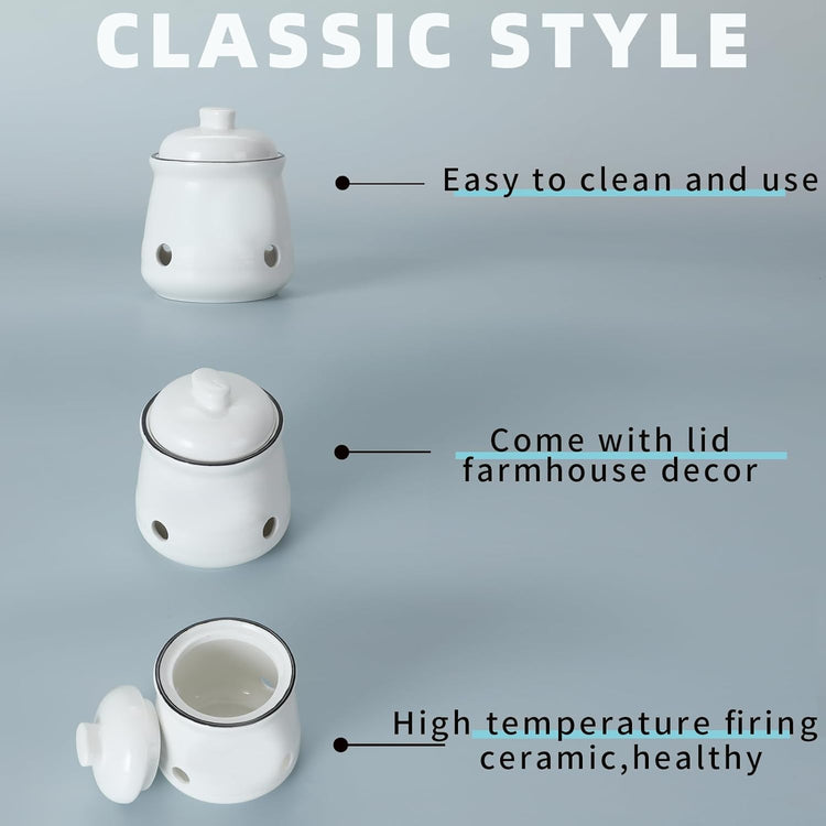 HAOTOP Ceramic Mini Garlic Keeper with Lid, Garlic Container Saver for Countertop, Keep Your Garlic Cloves Fresh (White)