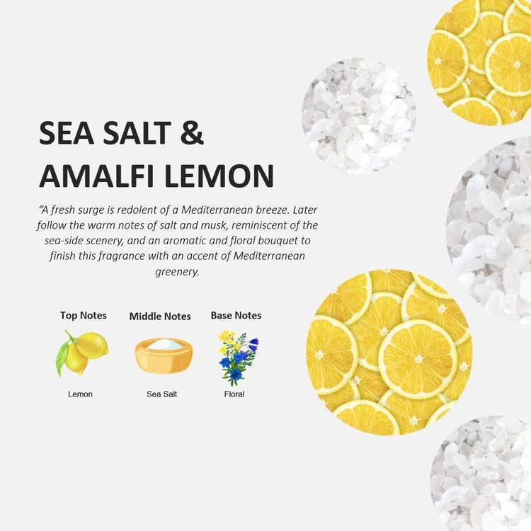 Fruits & Passion Cucina Dish Detergent Refill Sea Salt and Amalfi Lemon, 33.8 oz