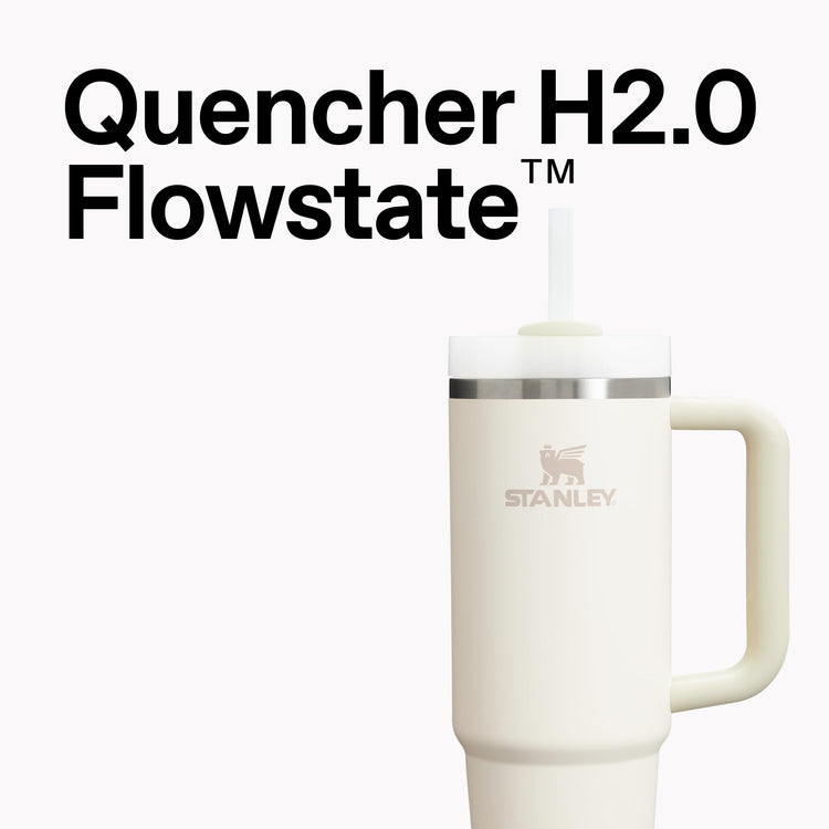 Quencher H2.0 Tumbler with Handle and Straw 14 oz