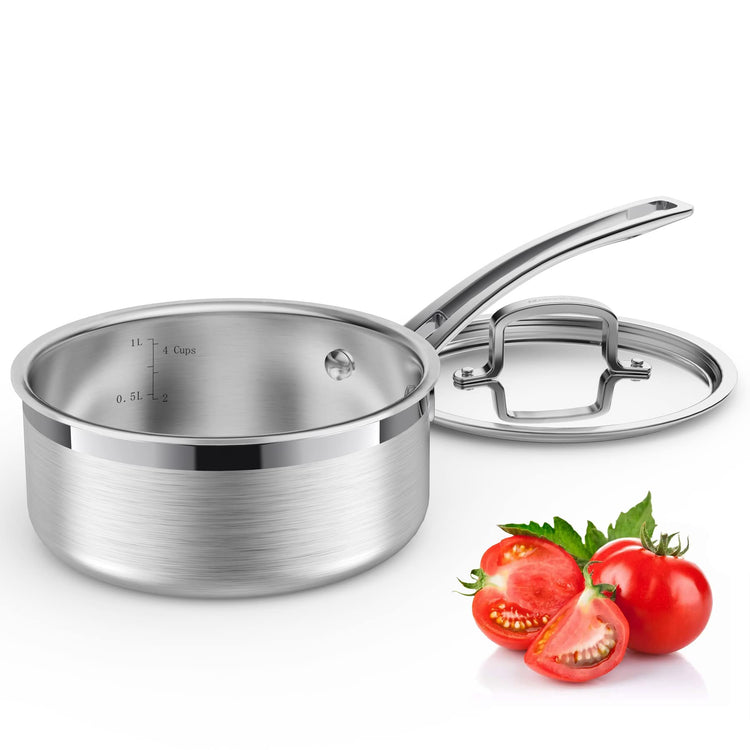 Stainless Steel Saucepan with Lid