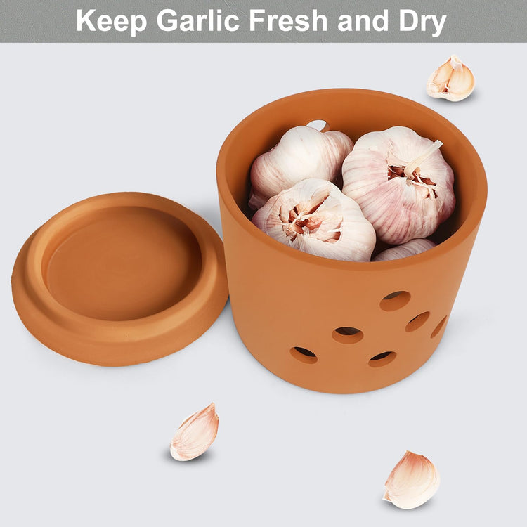 Terracotta Garlic Keeper