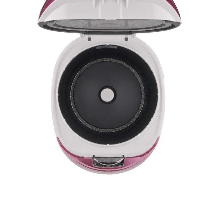 Micom Fuzzy Logic Rice Cooker