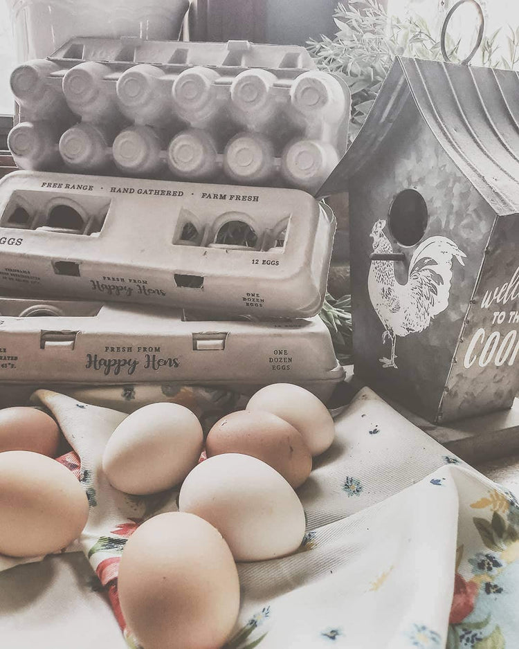 Egg Cartons Adorable Printed Design for Farm Fresh Eggs (250 Count)