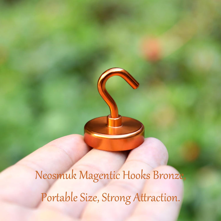Magnetic Hooks (10 Count)