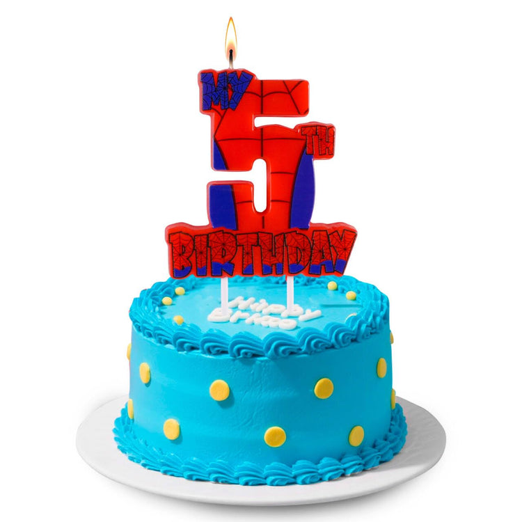 Spider Birthday Party Decorations