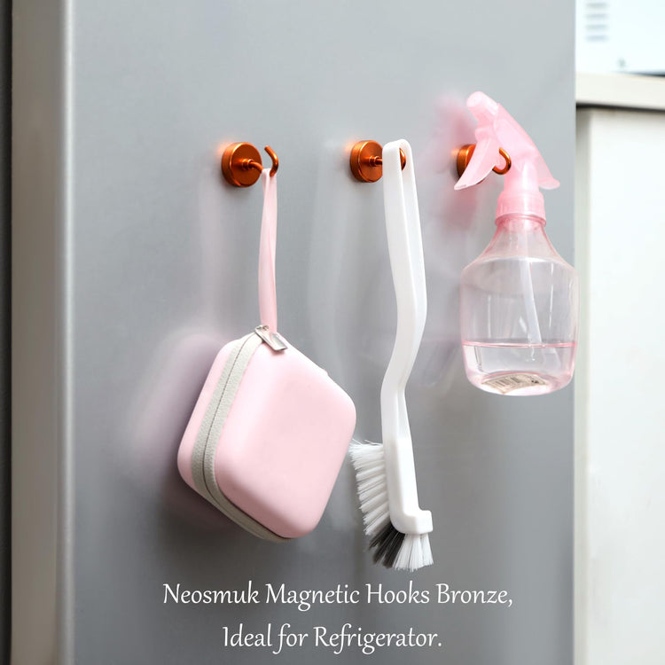 Magnetic Hooks (10 Count)