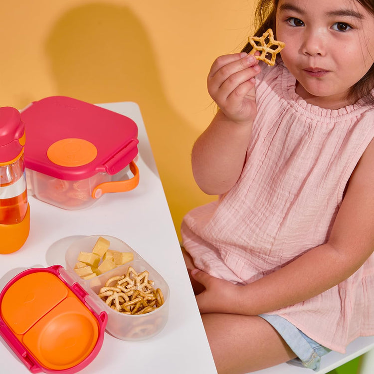 Snack Box Snack Containers for Kids
