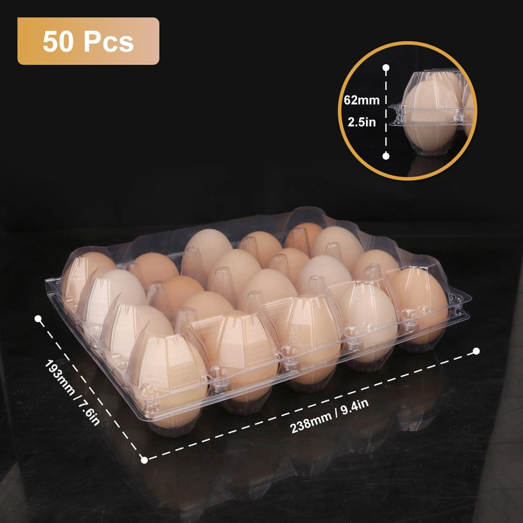 50 Pack Bulk Egg Cartons (50 Count)