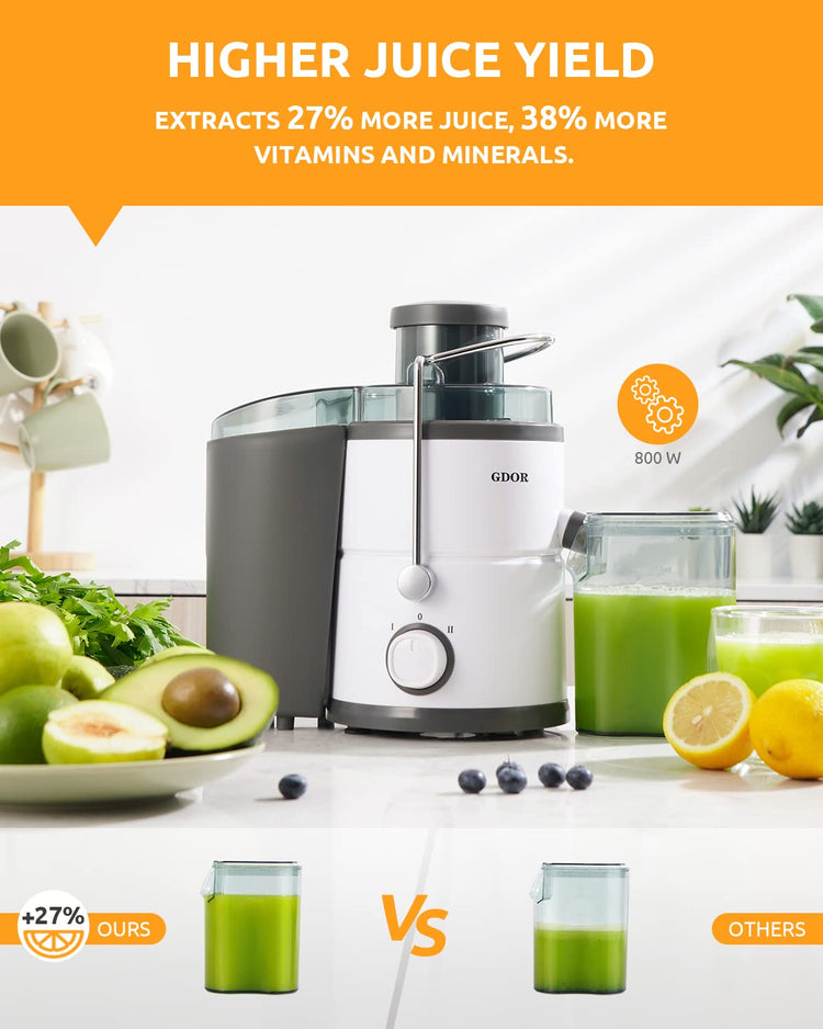 800W Juicer Machine