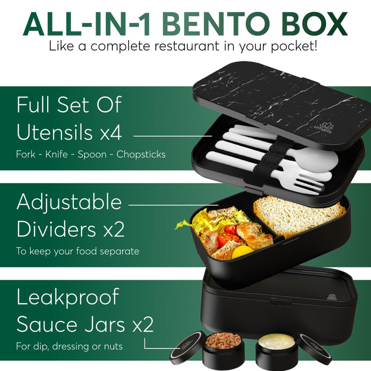 Bento Box Adult